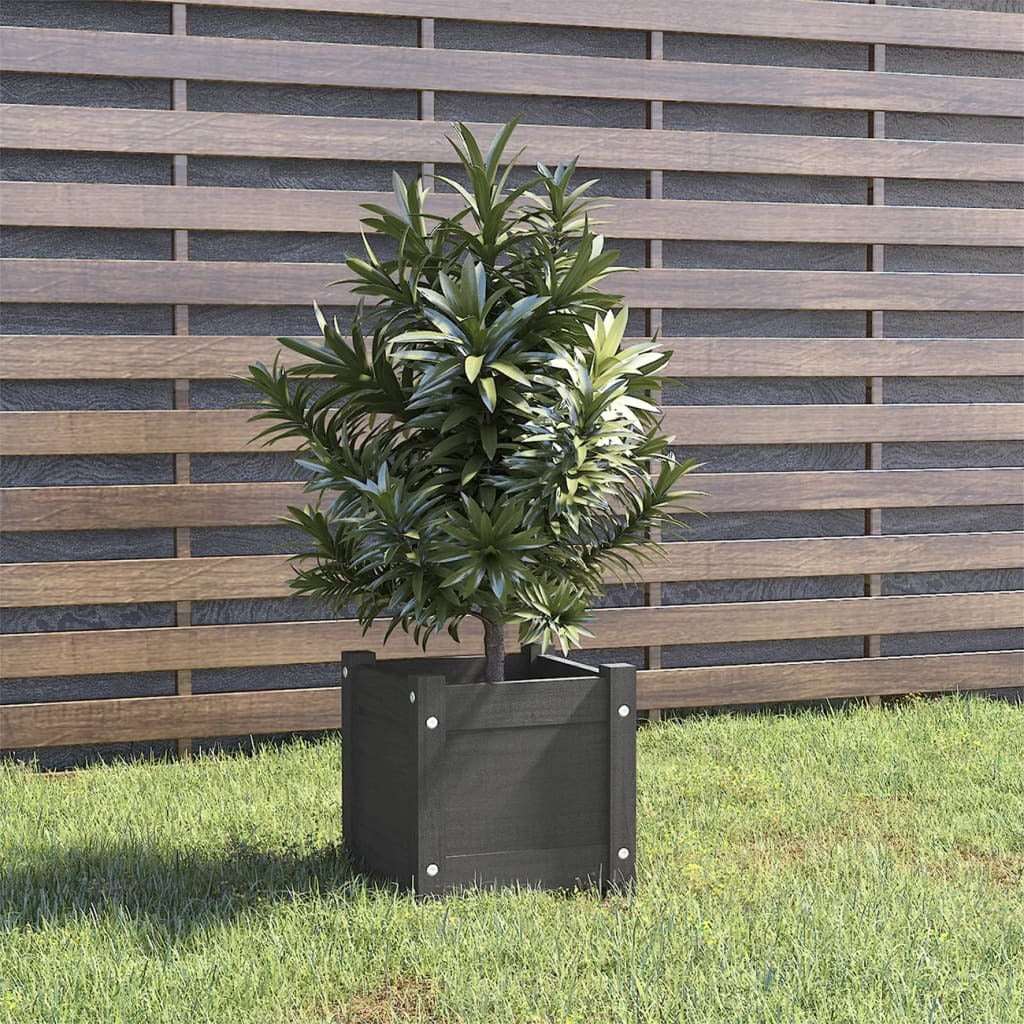 vidaXL Garden Planter Grey 31x31x31 cm Solid Pinewood